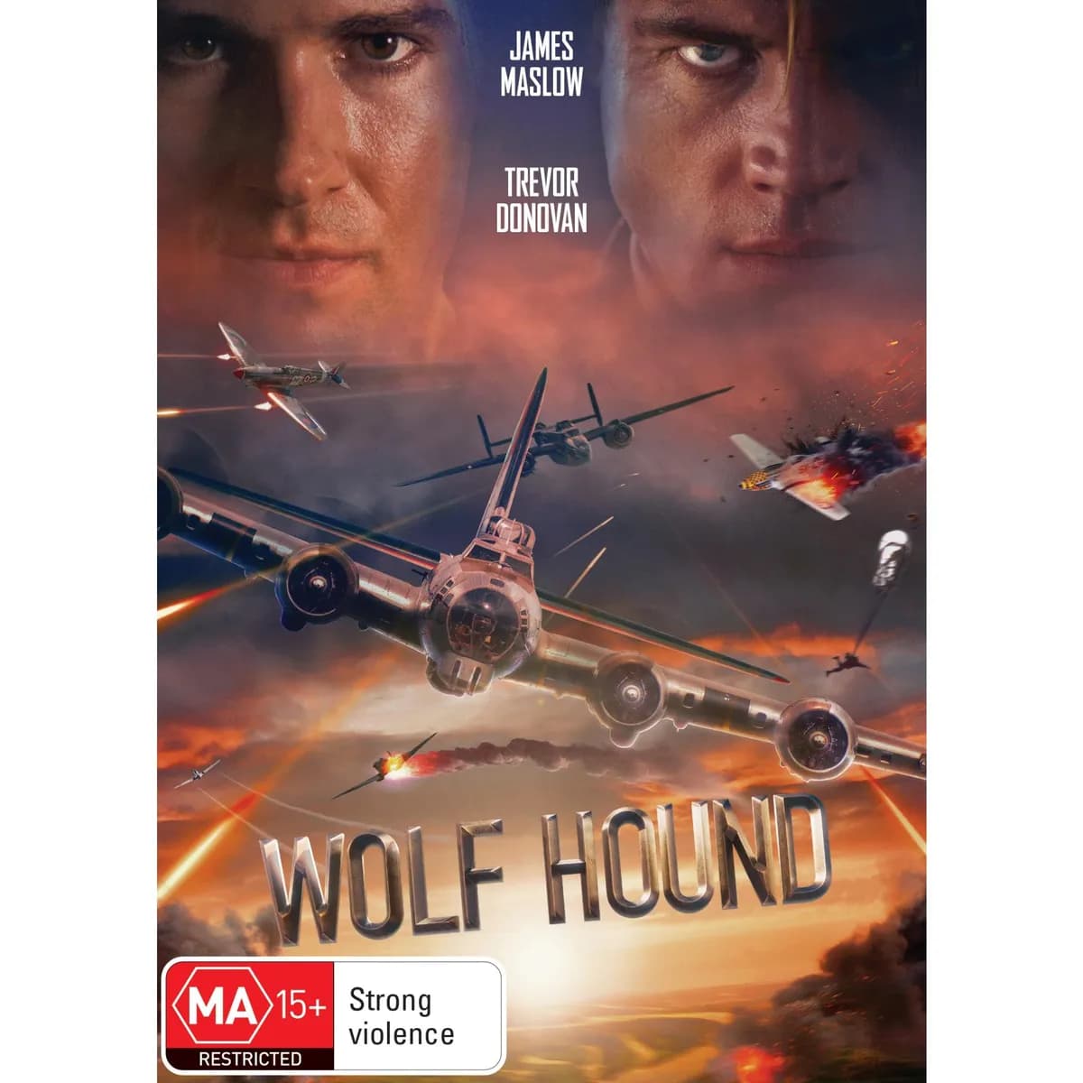 Wolf Hound cover