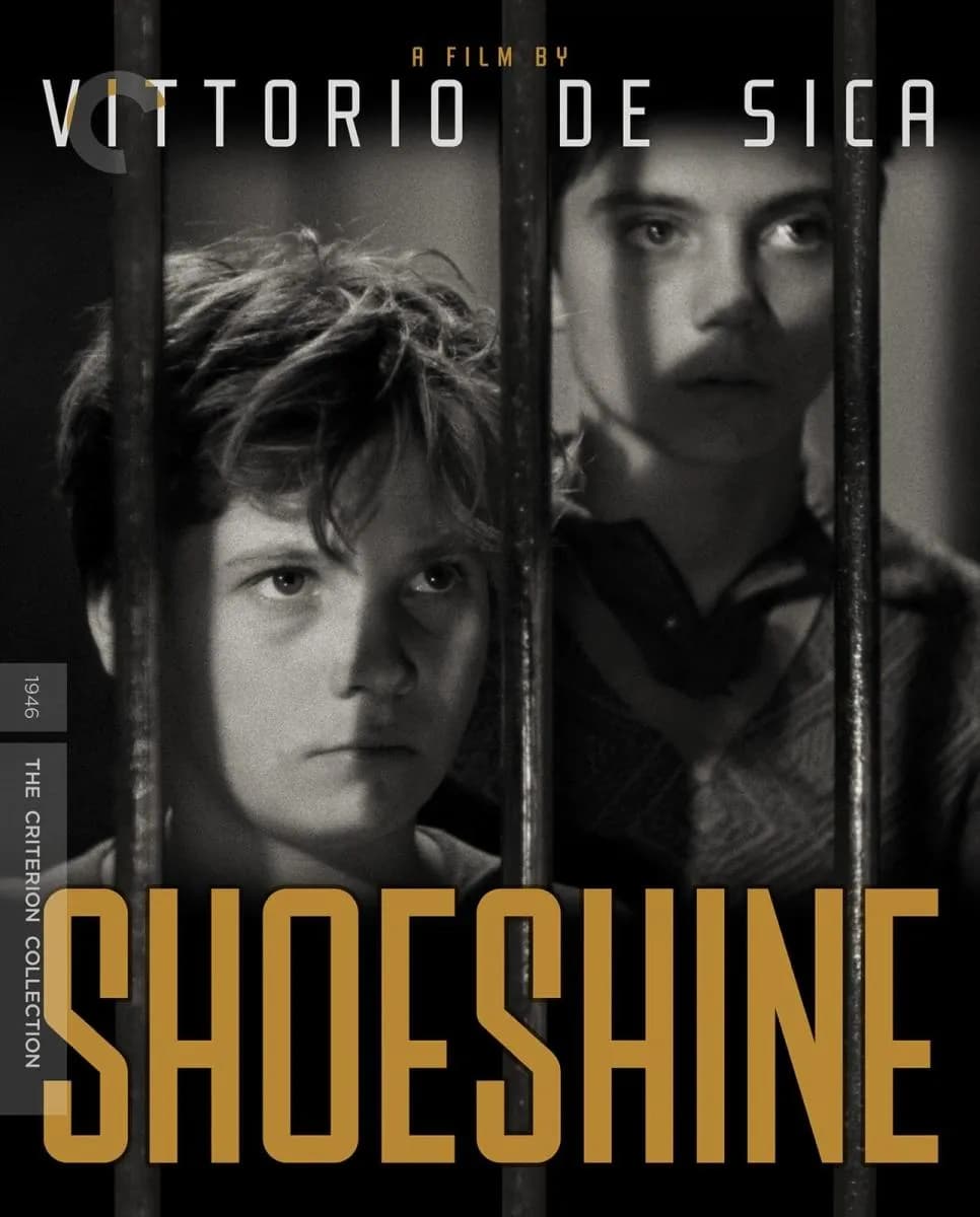 Shoeshine cover