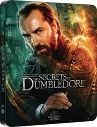 Fantastic Beasts: The Secrets of Dumbledore cover
