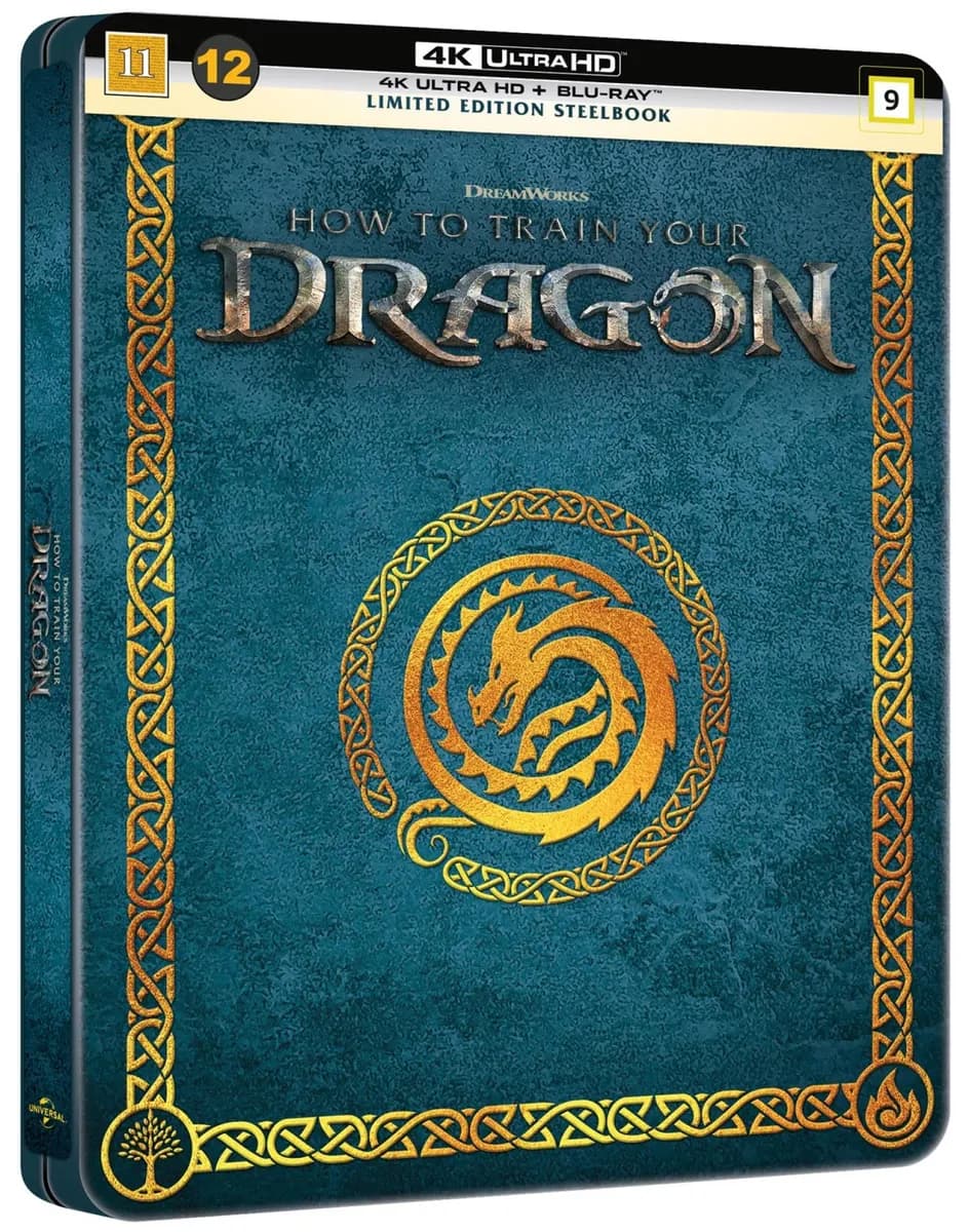 How to Train Your Dragon cover
