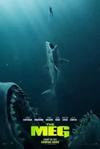 The Meg cover