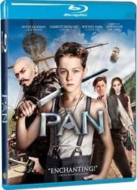 Pan cover