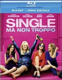 How to Be Single cover