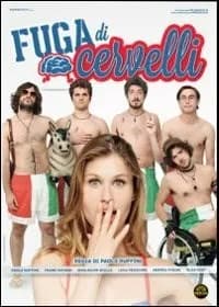 Fuga di cervelli cover