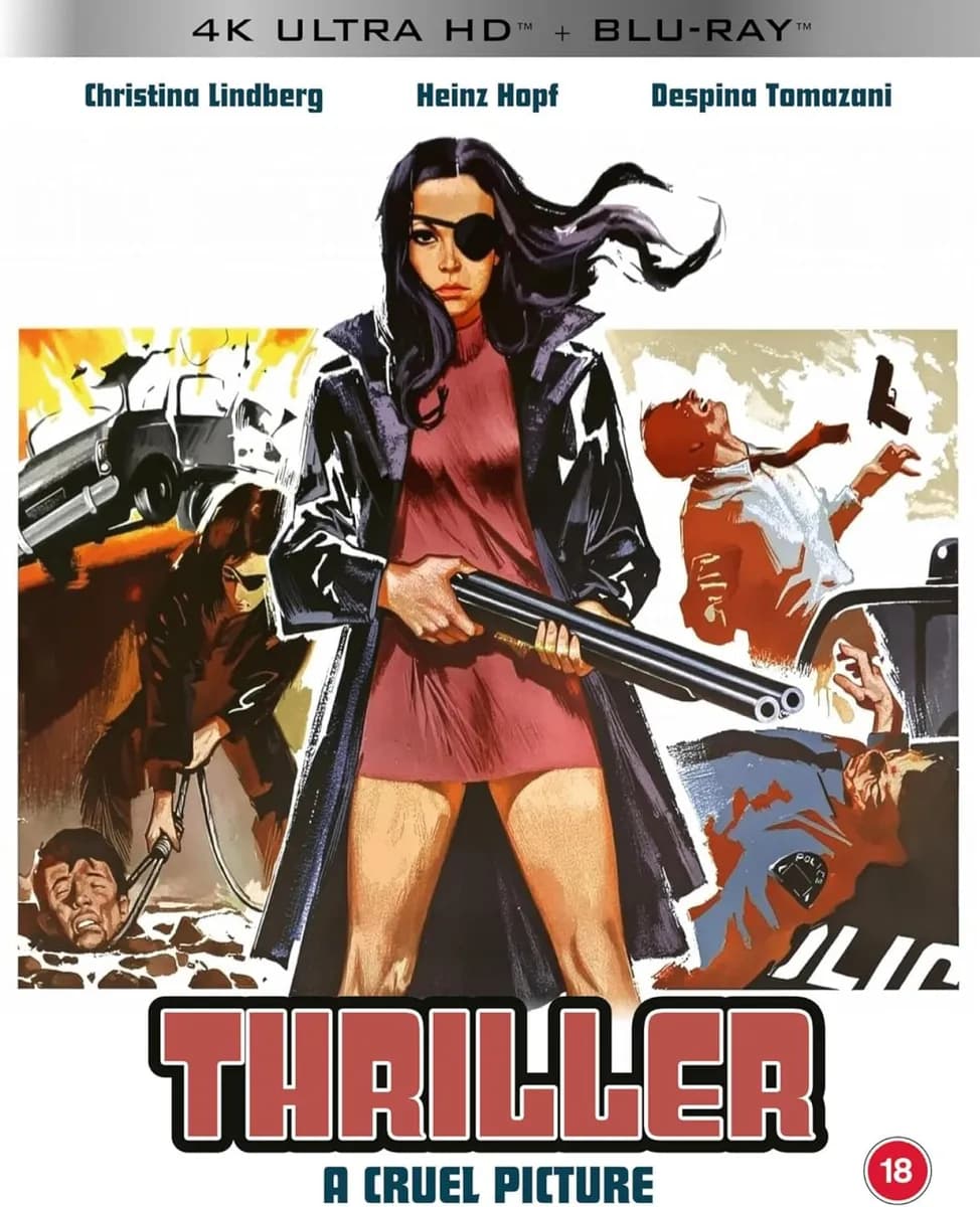 Thriller: A Cruel Picture cover