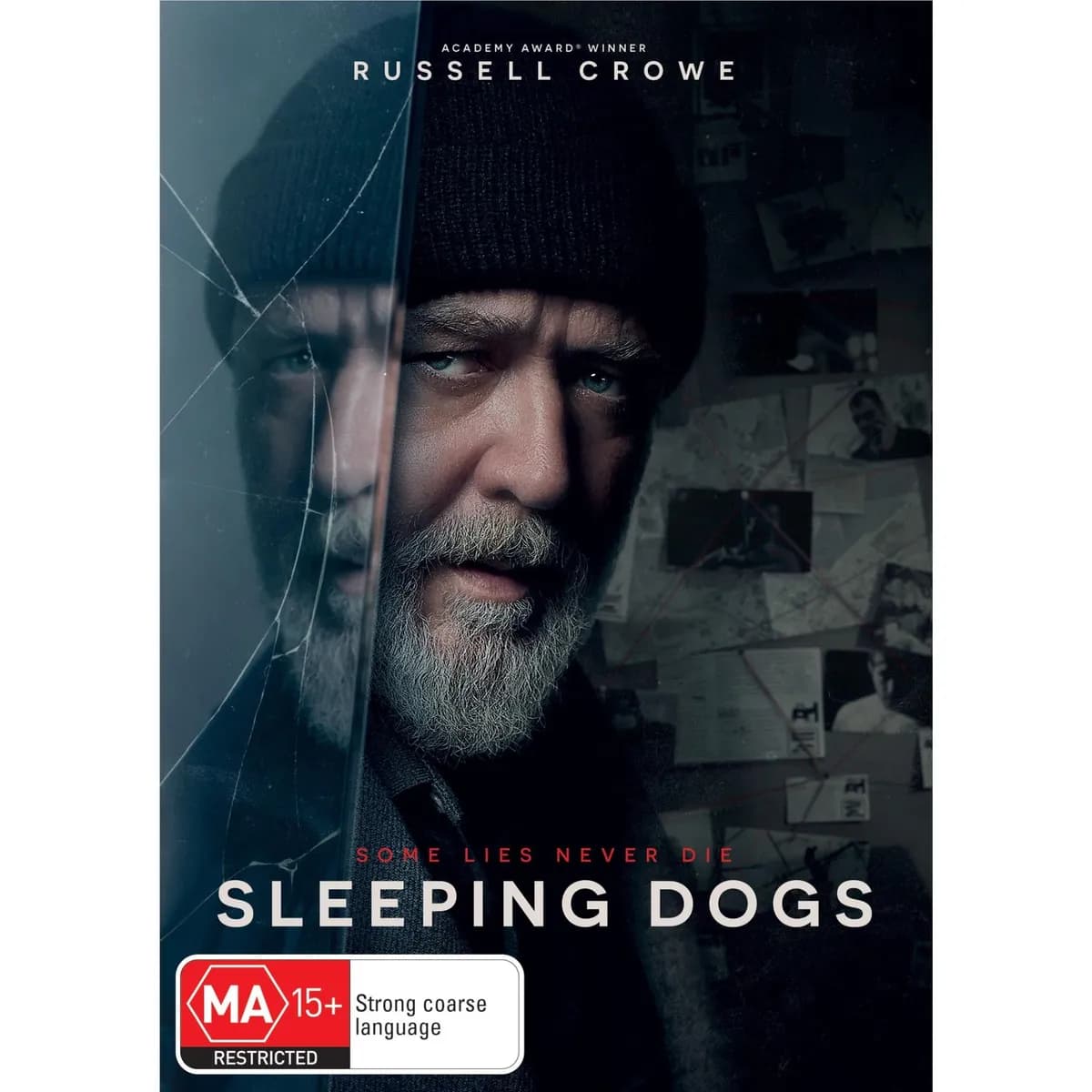 Sleeping Dogs cover