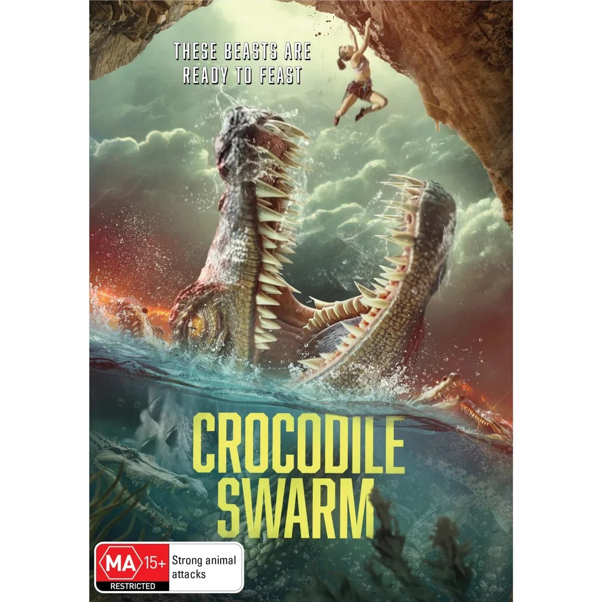 Crocodile Swarm cover