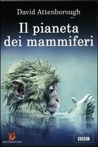 The Life of Mammals cover