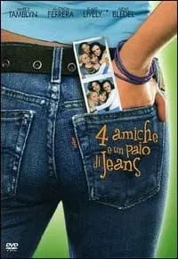 The Sisterhood of the Traveling Pants cover