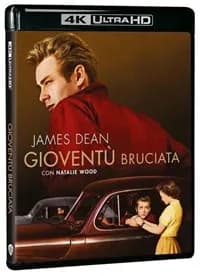 Rebel Without a Cause cover