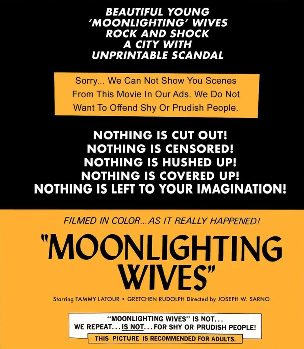 Moonlighting Wives cover