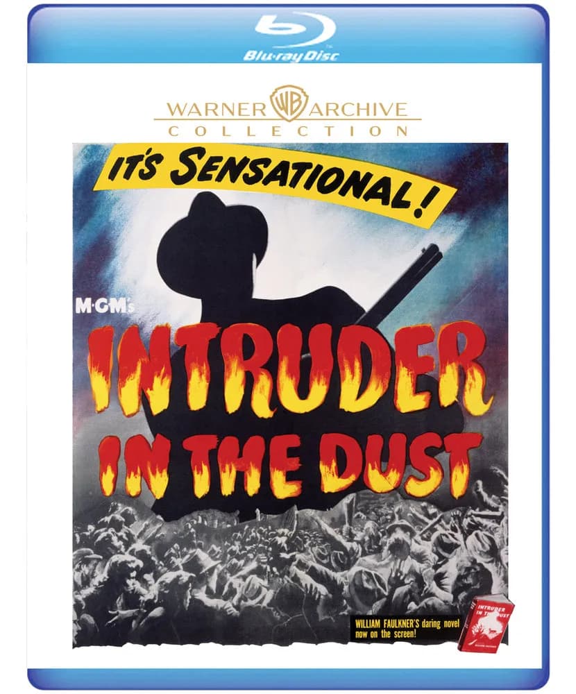 Intruder In the Dust cover