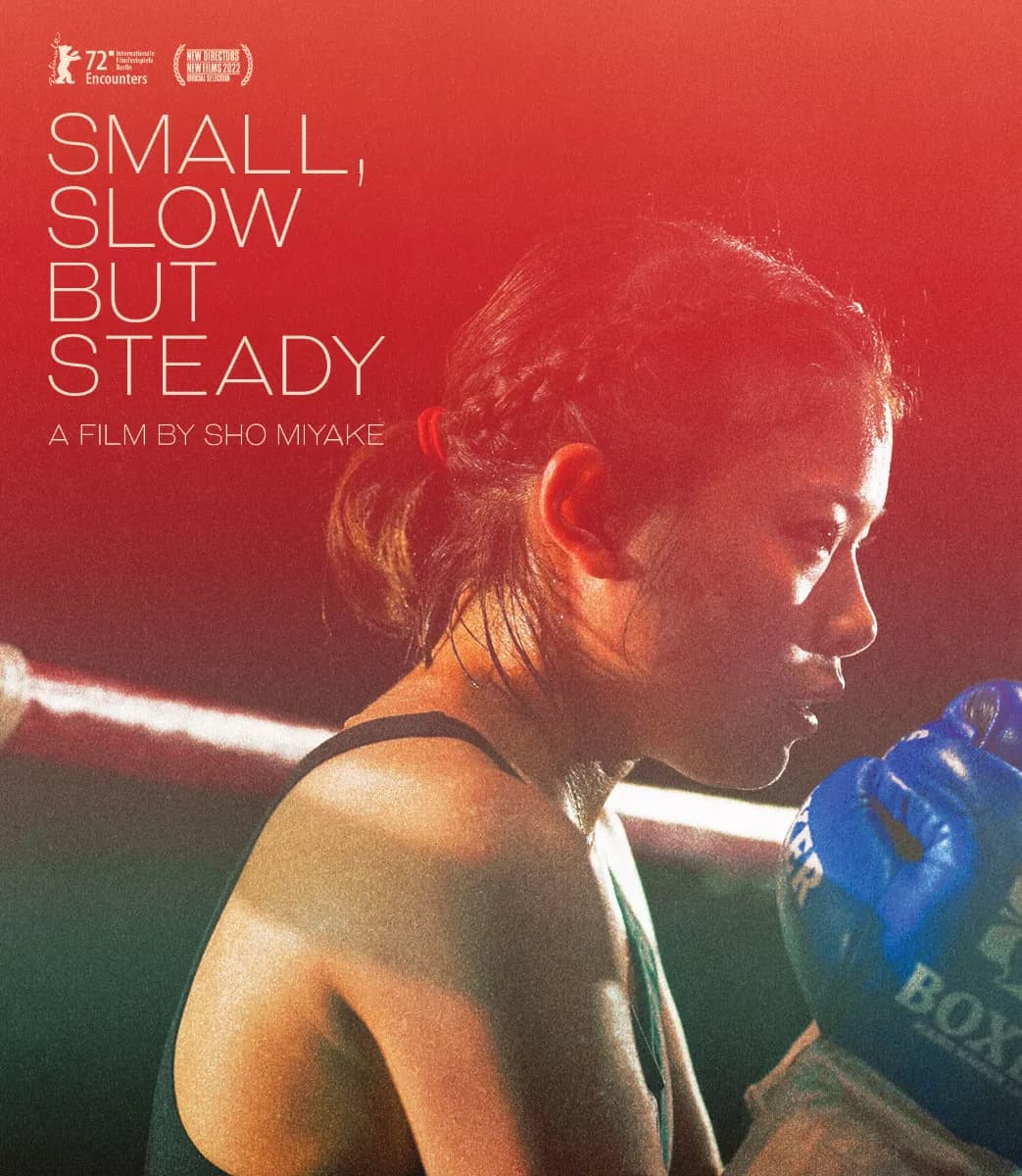 Small, Slow But Steady cover