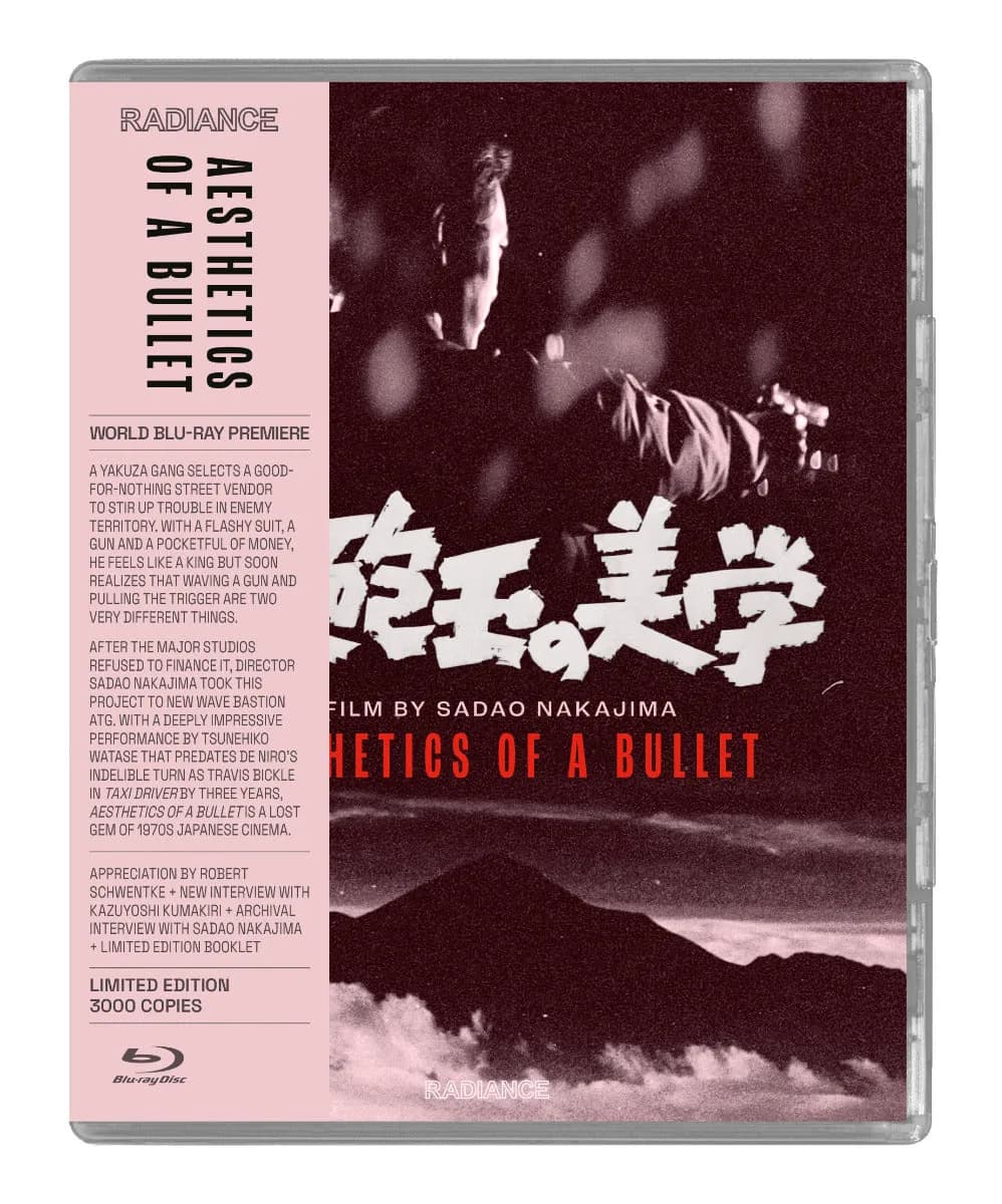 Aesthetics Of A Bullet cover