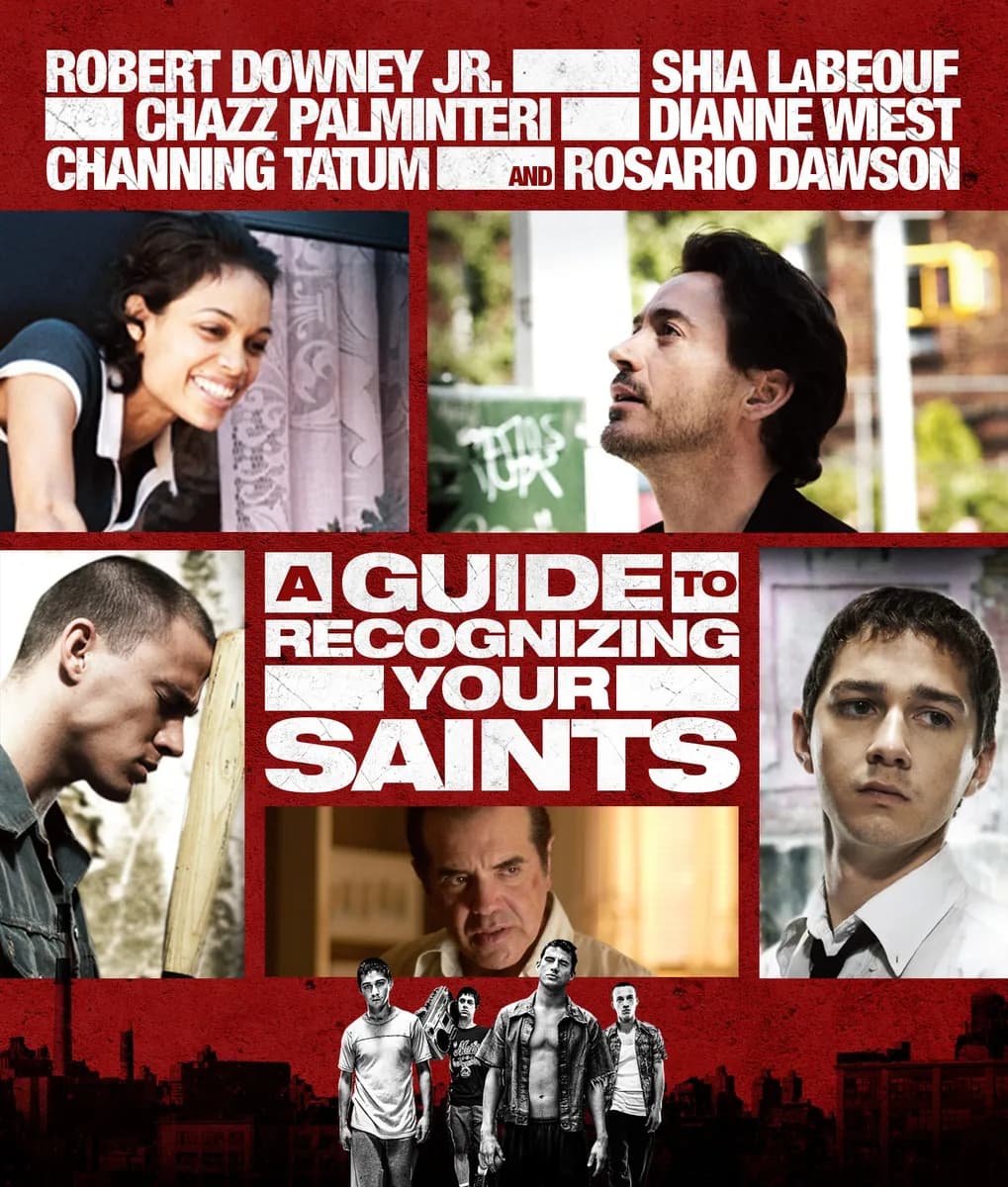 A Guide to Recognizing Your Saints cover