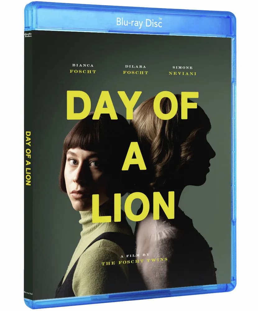 Day of a Lion cover