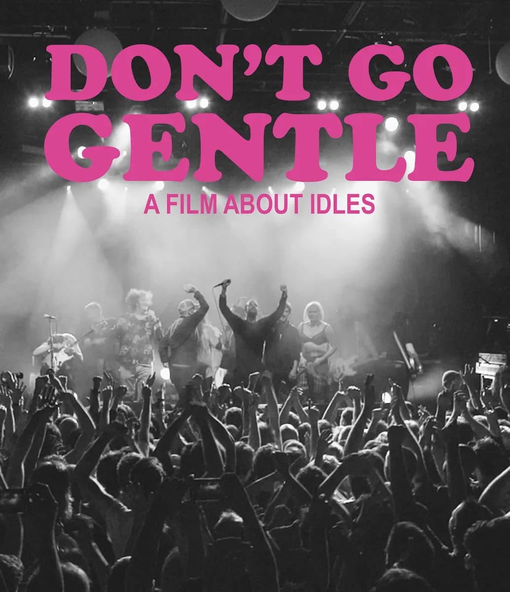 Don't Go Gentle: A Film About Idles cover