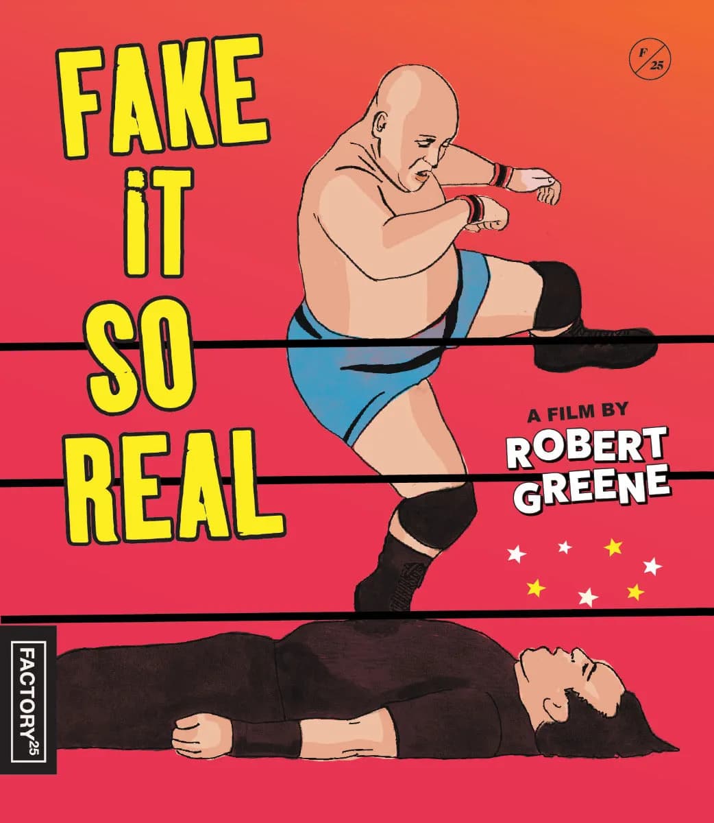 Fake It So Real cover
