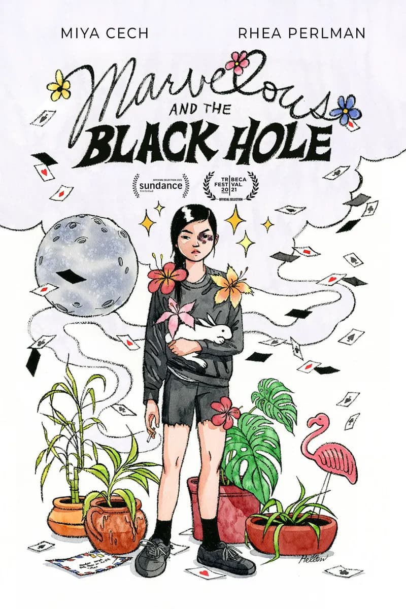 Marvelous And The Black Hole cover