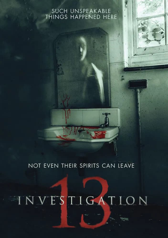 Investigation 13 cover