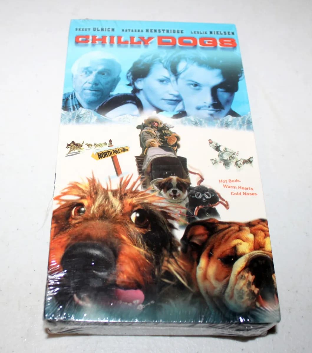 Chilly Dogs cover