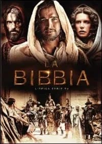 The Bible cover