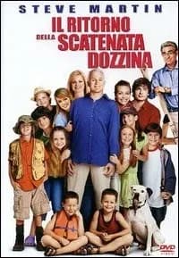 Cheaper by the Dozen 2 cover
