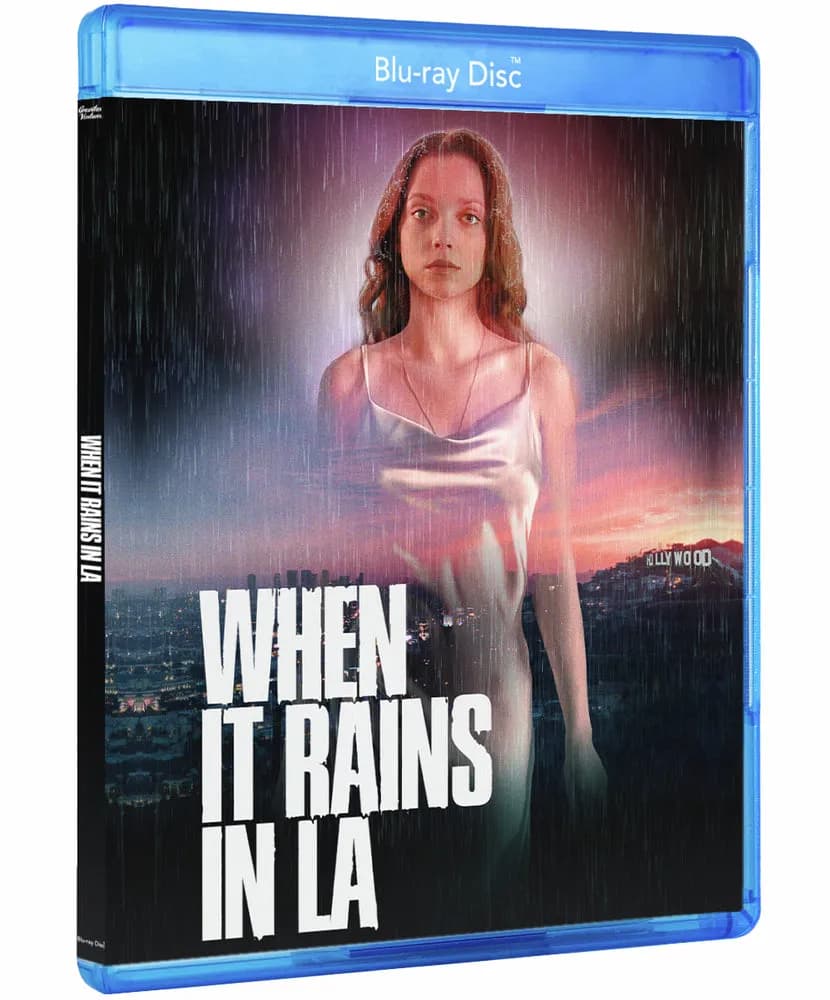 When It Rains In LA cover