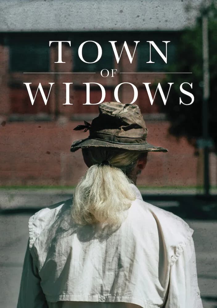 Town of Widows cover