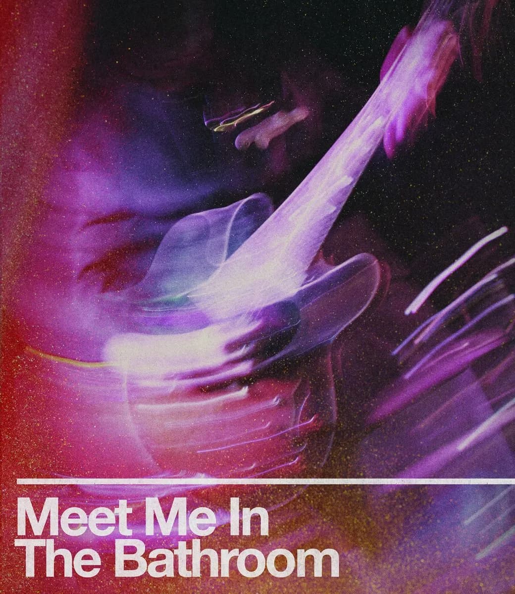 Meet Me In The Bathroom cover