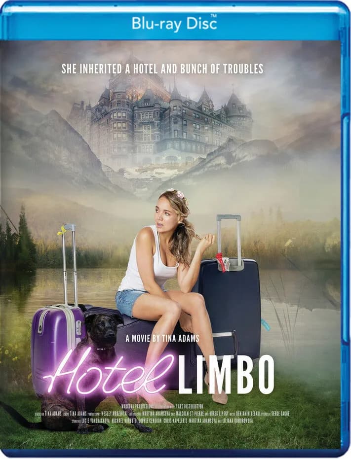 Hotel Limbo cover