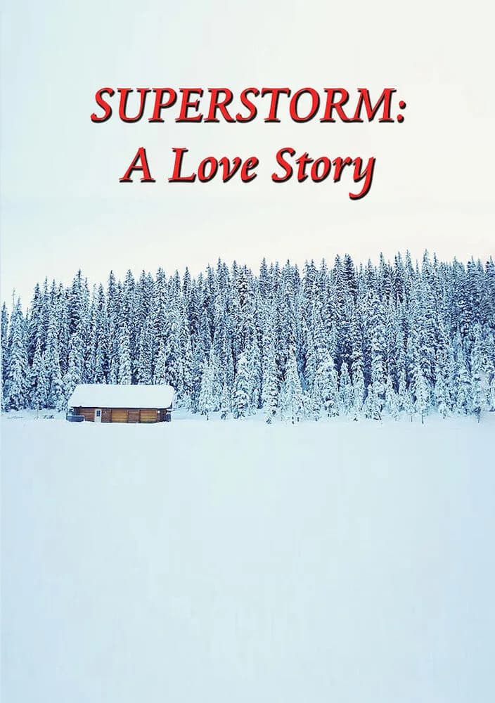 Superstorm: A Love Story cover