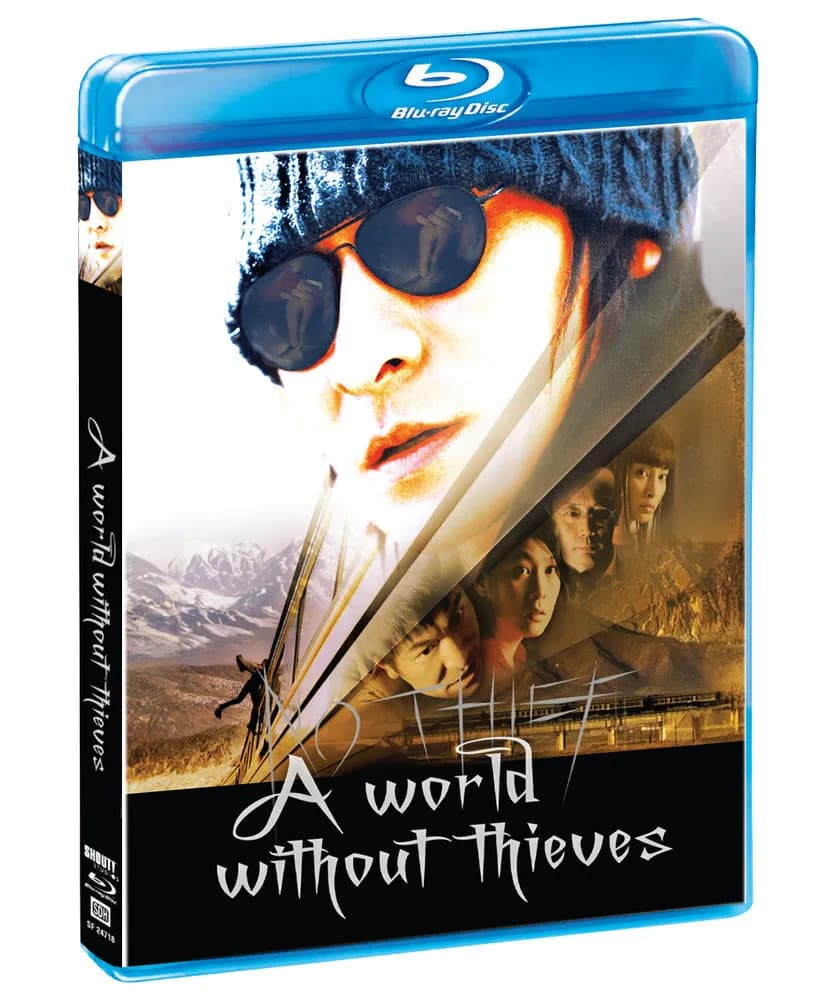 A World Without Thieves cover
