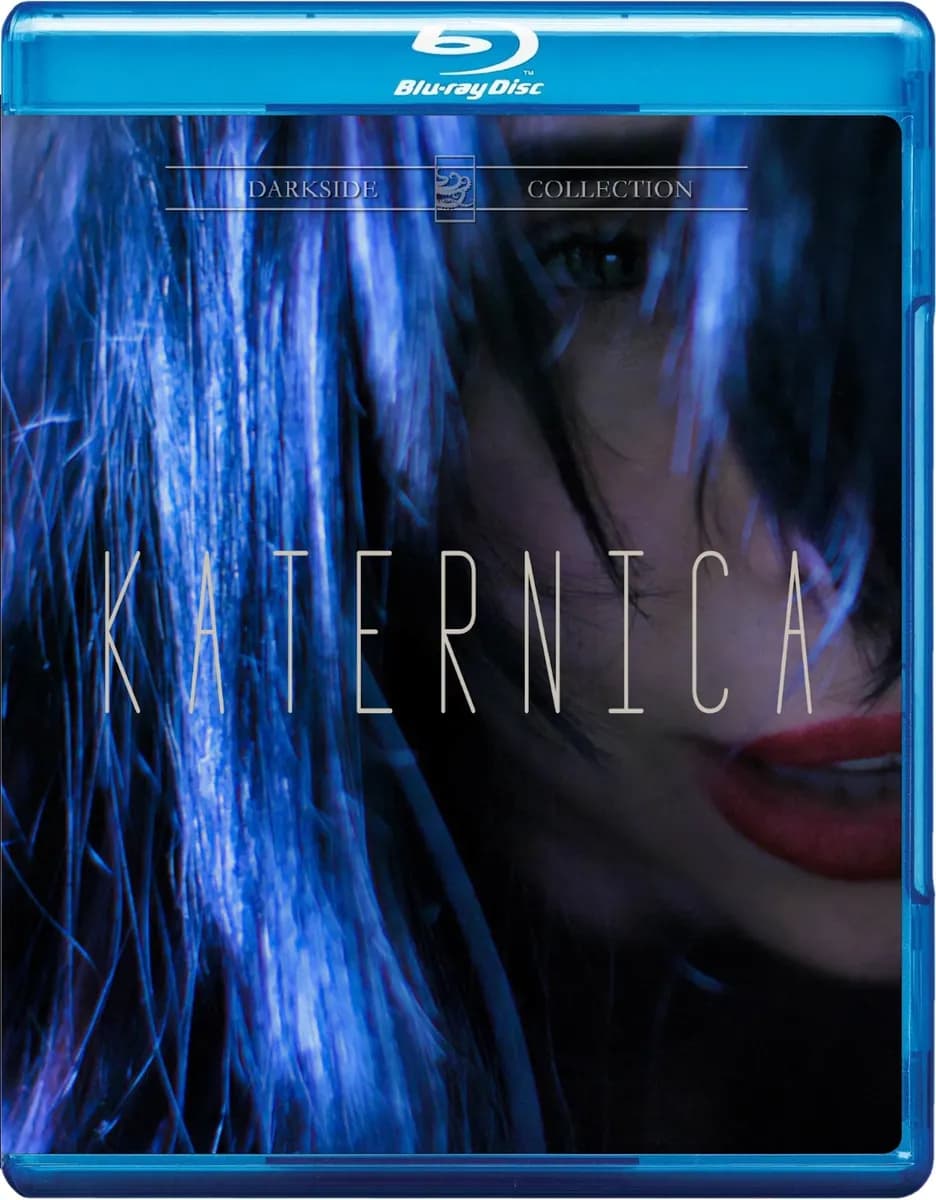 Katernica cover