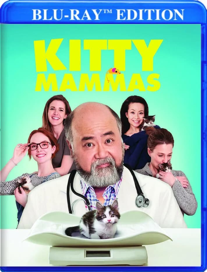 Kitty Mammas cover