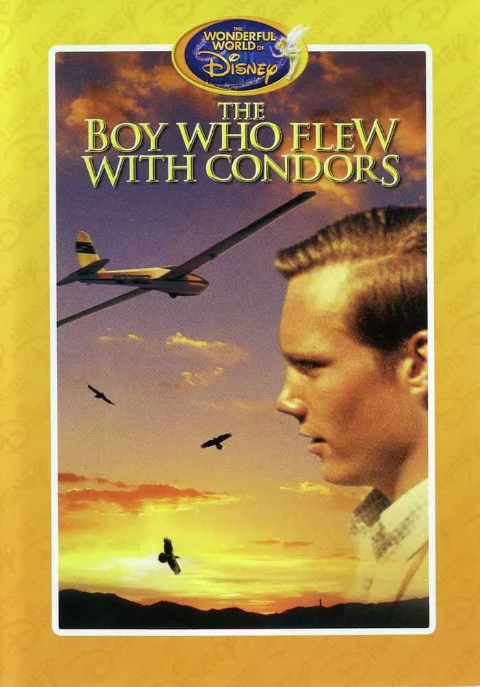The Boy Who Flew With Condors cover