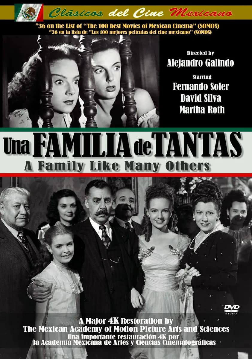 A Family Like Many Others cover