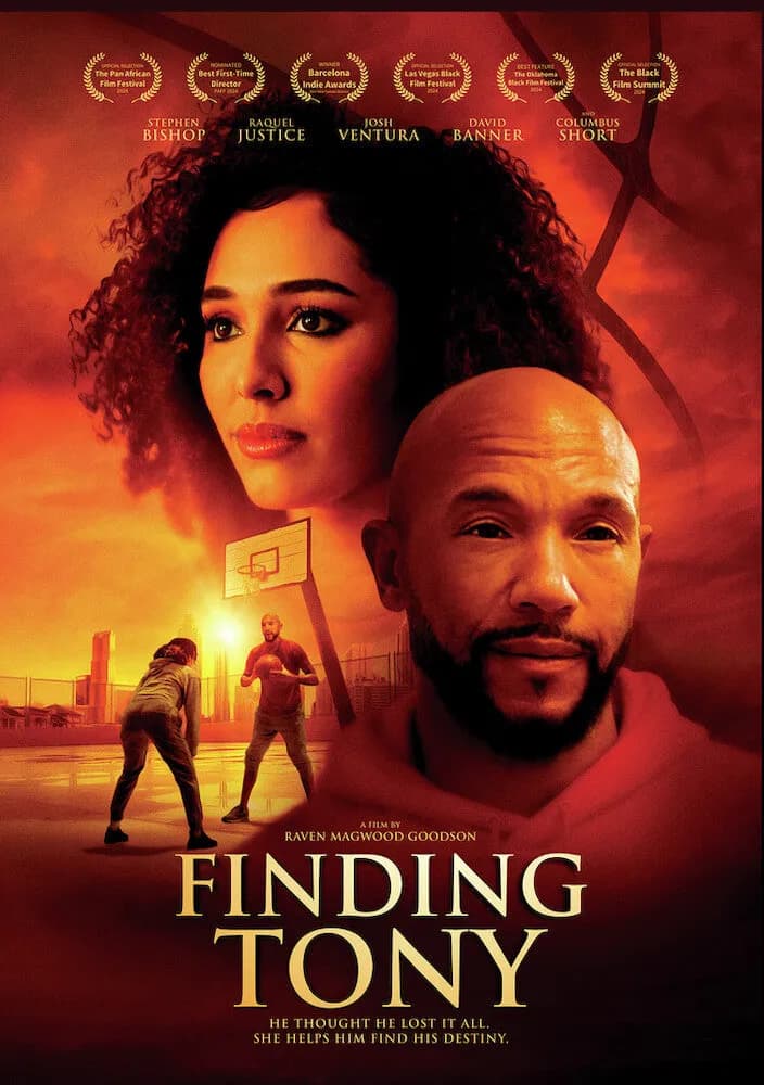 Finding Tony cover