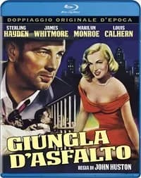 The Asphalt Jungle cover