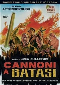 Guns at Batasi cover