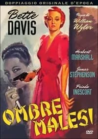 The Letter cover
