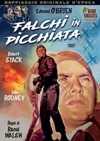 Fighter Squadron cover