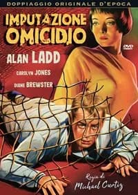 The Man in the Net cover