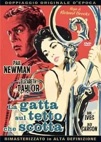 Cat on a hot tin roof cover