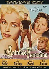 The Female Animal cover