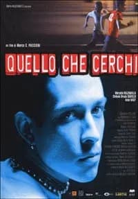 Quello che cerchi cover