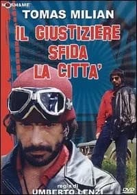 Il giustiziere sfida la città cover