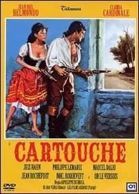 Cartouche cover