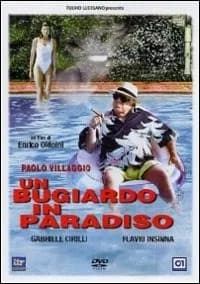Un bugiardo in Paradiso cover