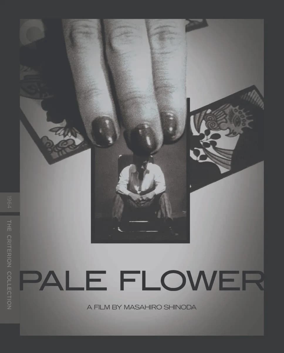 Pale Flower cover